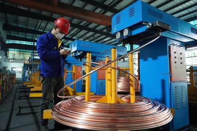 頭雁領航，雁陣齊飛 上海金山“光電傳輸谷”驅動金屬制品產業集群提級增效